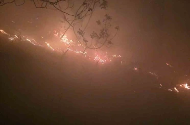 Hatay’da yıldırımın düştüğü ormanlık alanda yangın çıktı 