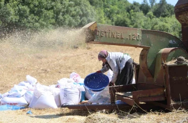 Hataylı çiftçilerin kavurucu sıcakta tozlu mesaisi sürüyor 