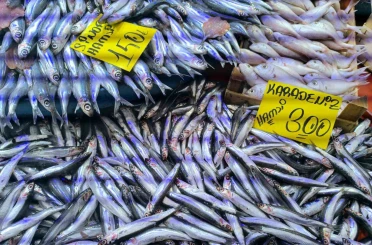 Havaların soğumasıyla balık tezgahlarında alışverişler hızlandı 