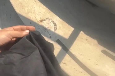 Havuza tesettürlü mayo yasağında 1 gözaltı 