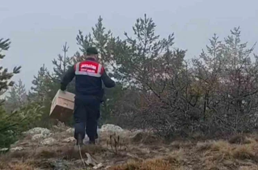 HAYDİ ekipleri doğadaki canlıları unutmadı 