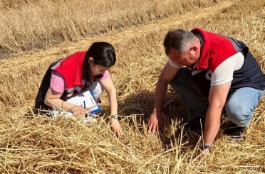 Hayrabolu’da biçerdöver denetimleri sürüyor 