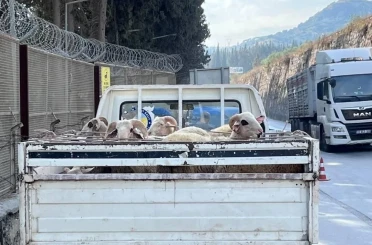 Hayvan hastalıkları ile mücadelede yol kontrolleri devam ediyor