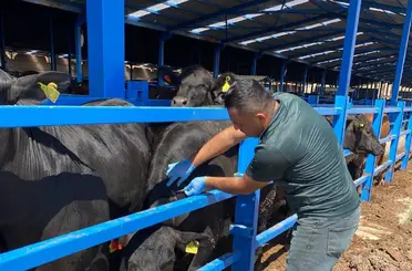 Hayvan sağlığı için işletmeler tek tek geziliyor
