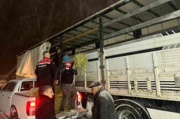 Hayvanlar aç kalmasın diye imdada yetiştiler 