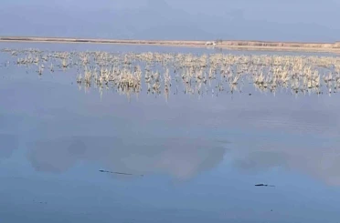 Her damlanın Eber Gölü’ne ulaşması için topyekun mücadele 