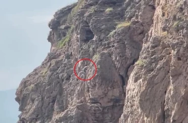 Herkes falezlerde mahsur kaldığını düşünürken gerçek apayrı çıktı 