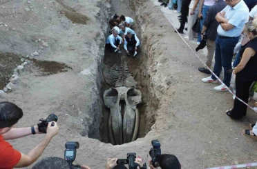 Heyecanlandıran keşif: ’16 metrelik ’Balina’nın kafatası ve gövdesi tamamen ortaya çıktı 