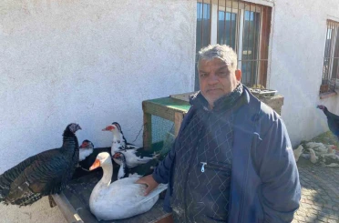 Hindi var, kaz var alıcı yok: Tezgâhlarda durgunluk 