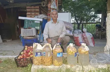 Hisarcık’ta dibe düşen elmalar ziyan olmuyor, doğal sirke oluyor
