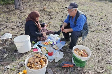 Hisarcık’ta yaşlı çiftin mantar mesaisi
