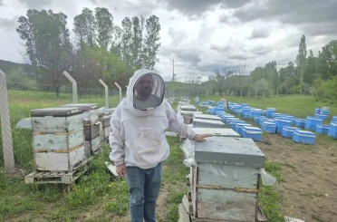 Hobi olarak 5 kovanla başladı, zamanla 250 kovana çıkardı 