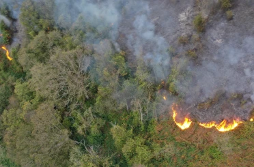 Hopa’daki orman yangını söndürüldü, soğutma çalışmaları sürüyor