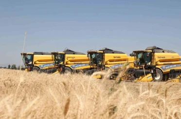 Hububat hasadından Muş ekonomisine 11 milyar liralık katkı bekleniyor 