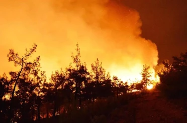 İran’da ki orman yangınlarına Türkiye'den yardım: 2 uçak gönderiliyor