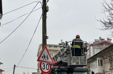 İtfaiye merdiveni bu kez kedi için uzatıldı