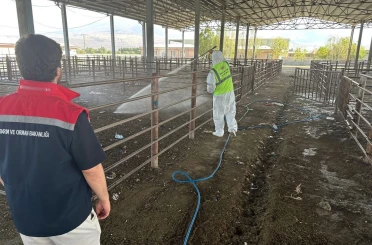 Iğdır’da açılan hayvan pazarı 2 hafta sonra tekrar kapatıldı 