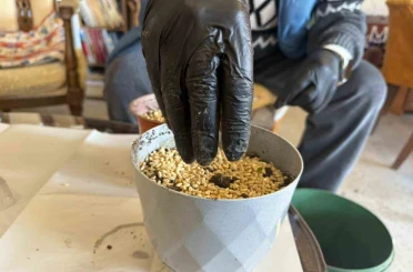 Iğdır’da Nevruz’un simgesi semeniler hazırlanmaya başlandı 