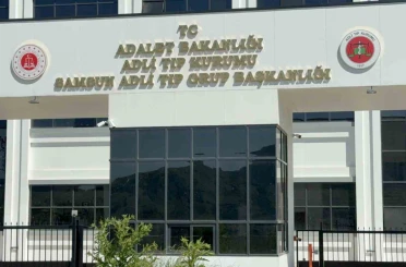 Ihlamur ağacından düşen yaşlı adam hayatını kaybetti 