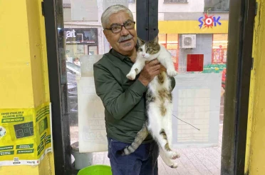İki defa terk edilen kediye işletmeci sahip çıktı 