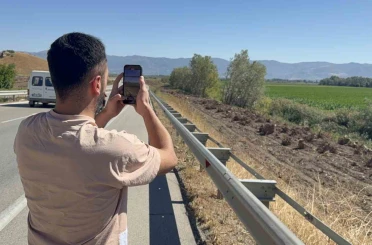İlçenin simgesi olmuştu, ağaç koridorundan geriye kökleri kaldı 