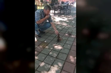 İnegöl’de sincap ve kumruyu elleriyle besledi 