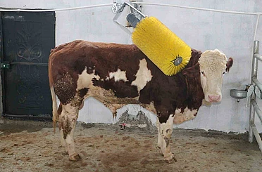 IPARD III ile Erzincan tarımına 178 milyon TL’lik yatırım desteği 