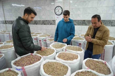 İran-ABD ve İsrail savaşı Antep fıstığı satışını durdurdu 