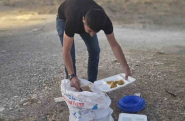 İş yerinden artan yemekleri sokak hayvanları için doğaya bırakıyor 