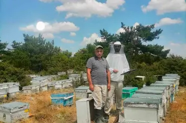 İscehisar’da arılı kovanların tespiti için saha çalışması
