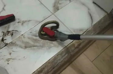 İskenderun ve Yayladağı’nda yerleşim yerlerine giren yılanlar yakalandı