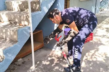 İskenderun’da evin içerisinde görülen yılan yakalandı
