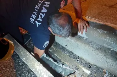 İskenderun’da mahsur kalan hayvanlar ekipler tarafından kurtarıldı
