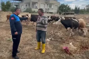 İslahiye’de kaybolan 17 büyükbaş, kulak küpelerinden sahibi tespit edilerek teslim edildi
