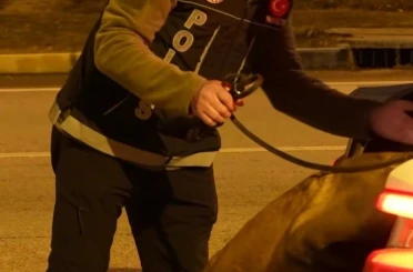 Isparta’da denetimlerde 32 bin 878 şahıs sorgulandı 