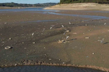 İstanbul’da barajlar alarm veriyor: Son 10 yılın en düşük su seviyesi 