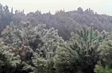 İstanbul’da yüksek kesimlerde kar yağışı başladı 