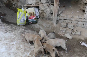 İstanbul’dan Erzurum’a uzanan yardım eli 