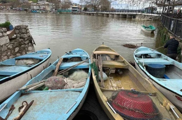 İstilacı İsrail sazanları balıkçılara gelir kaynağı oldu 