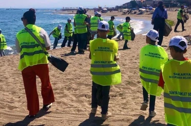 İsveç’te başlayan akım Karasu’ya ulaştı 