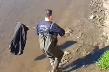 İtfaiye ekipleri dereye düşen horoz için seferber oldu 