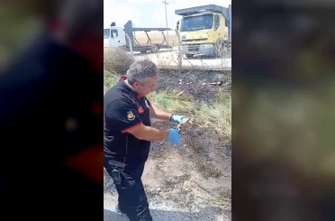 İtfaiye ekipleri yangından kurtardıkları kaplumbağayı suyla serinletti 