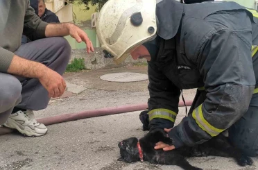 İtfaiye eri yangında dumandan etkilenen kediyi kalp masajı ile hayata döndürdü 