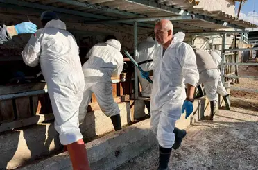 İthal büyükbaş hayvanların sağlık kontrolleri yapıldı
