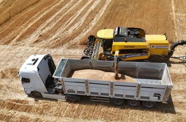 İthalat açıklaması bile arpanın ateşini düşürmedi 