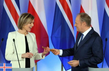 İzlanda, gelecek aylarda AB üyeliği müzakereleri için referanduma gidecek 