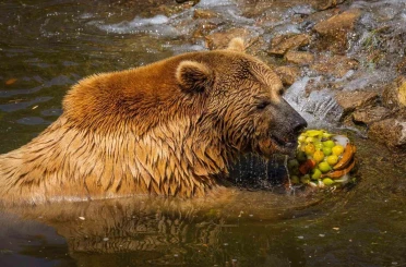 İzmir Doğal Yaşam Parkı’nda yazın en serin ziyafeti 