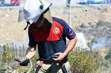 İzmir İtfaiyesi bukalemunu hayata döndürdü 