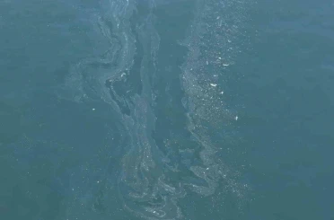 İzmir Körfezi’nde yine kirlilik tespit edildi 