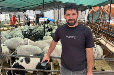 İzmir kurban pazarlarında sosyal medya rüzgarı 